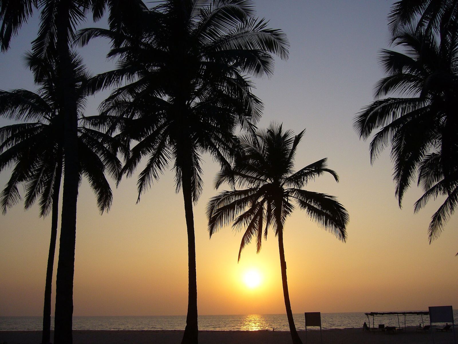 Goa