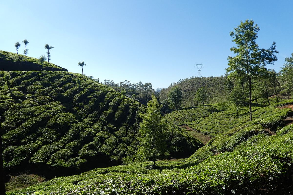 Kerala