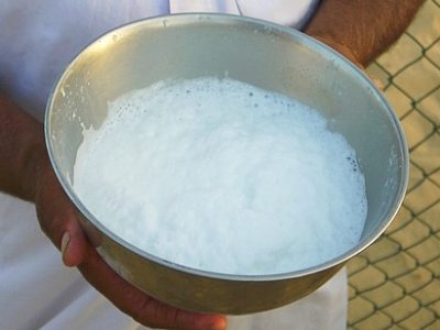 Camel milk products