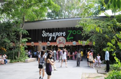Singapore Zoo & Night Safari
