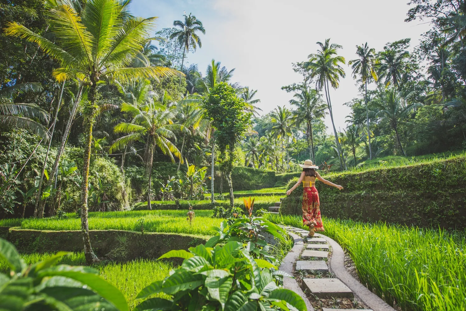 bali-rice-fields-in-tegalalang